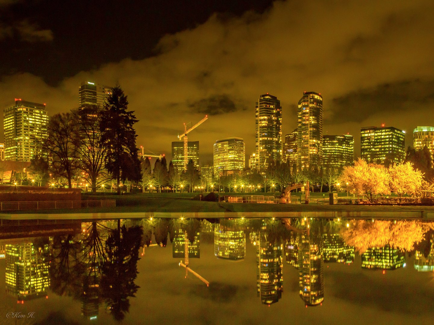 The City I Live