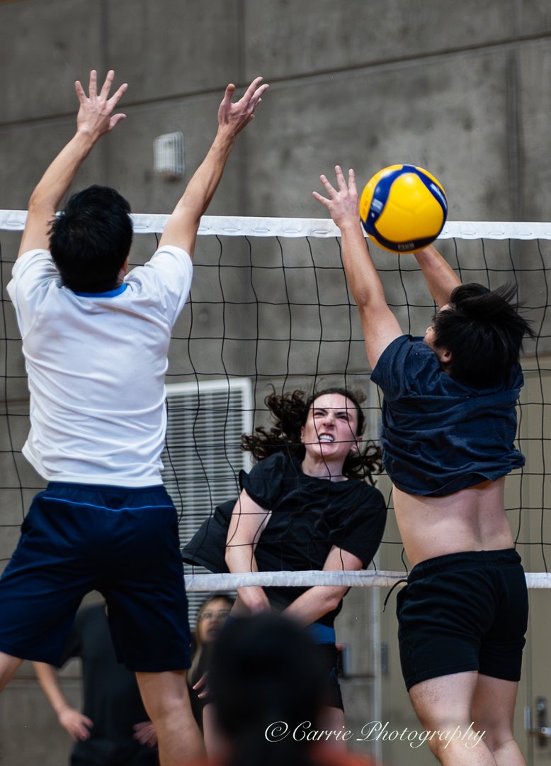 Volleyball