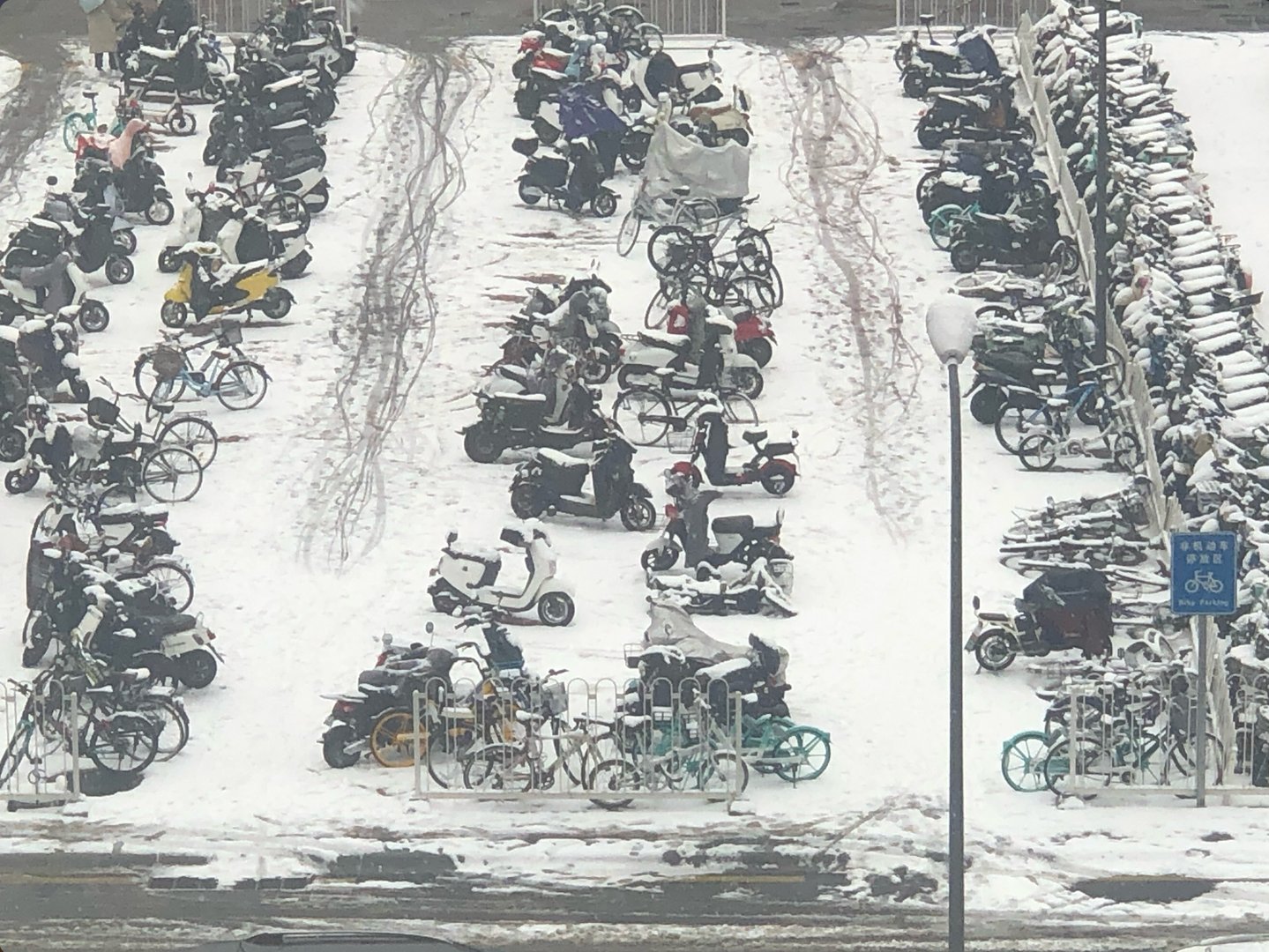 Winter in Tsinghua