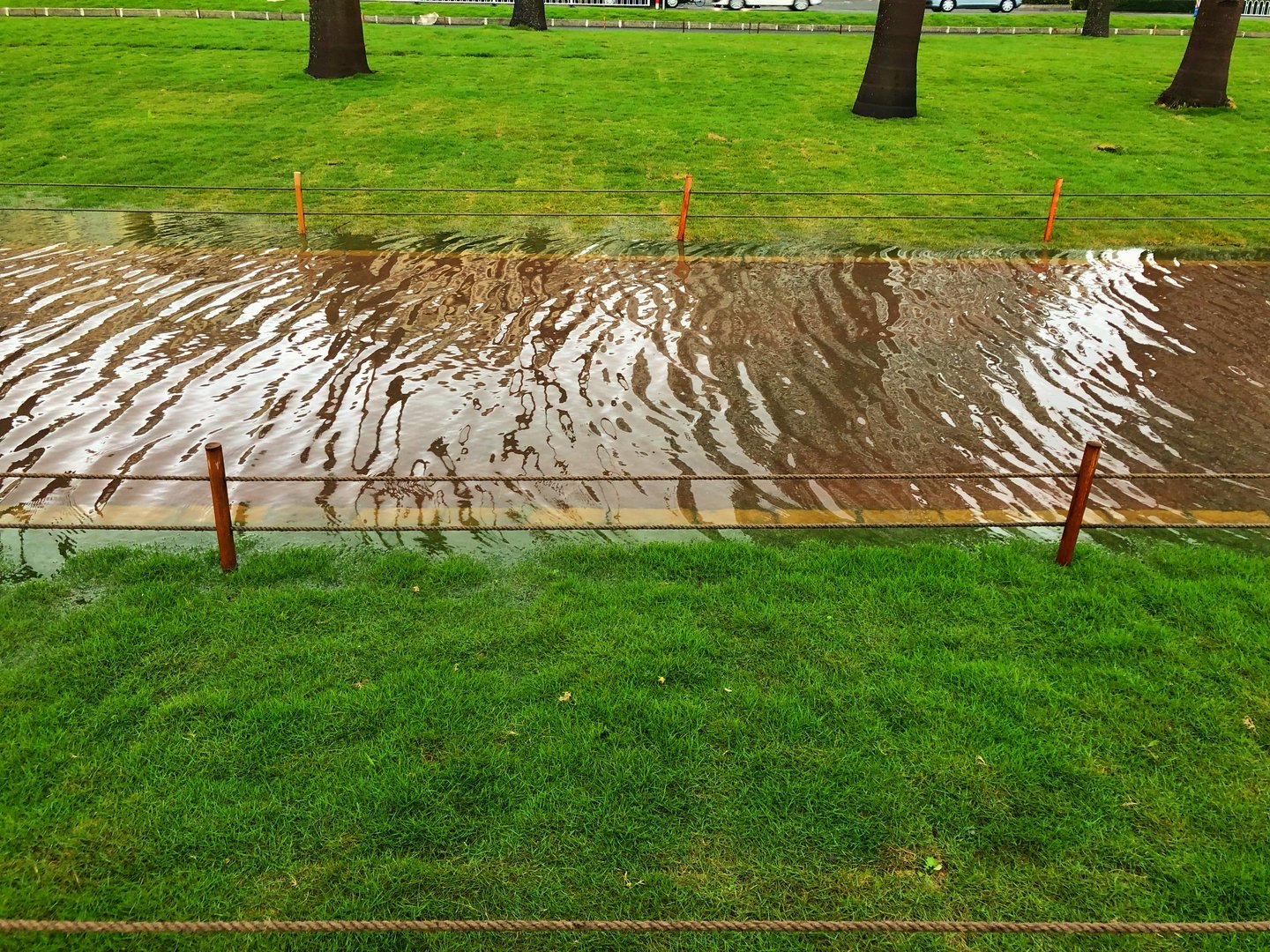 After the rain